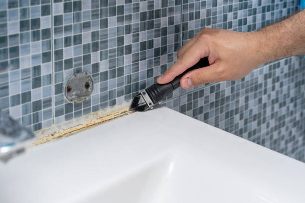Best Preventive Mold Services in Concordia, MO