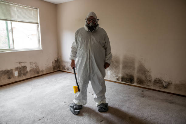 Best Post-Remediation Services in Concordia, MO